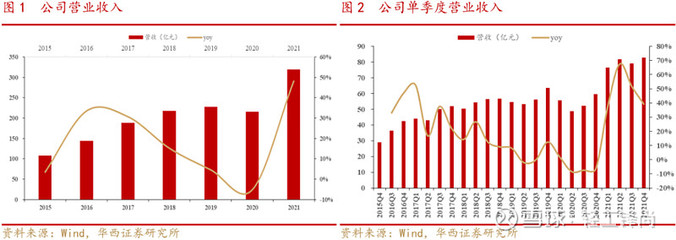 太陽(yáng)紙業(yè) 業(yè)績(jī)穩(wěn)健增長(zhǎng)，林漿紙一體化戰(zhàn)略深化未來(lái)可期